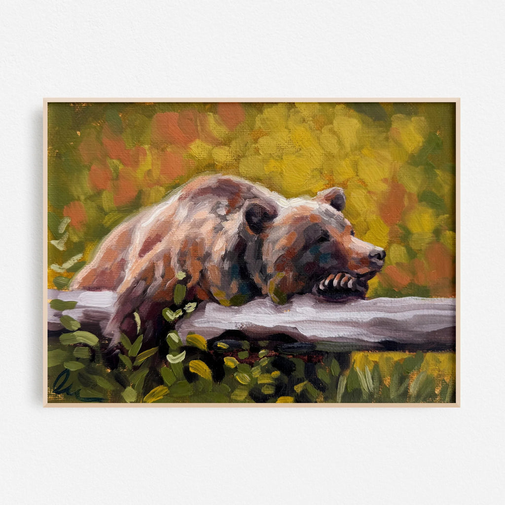 Bear Sighting