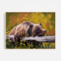 Bear Sighting