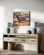 Elk Sighting