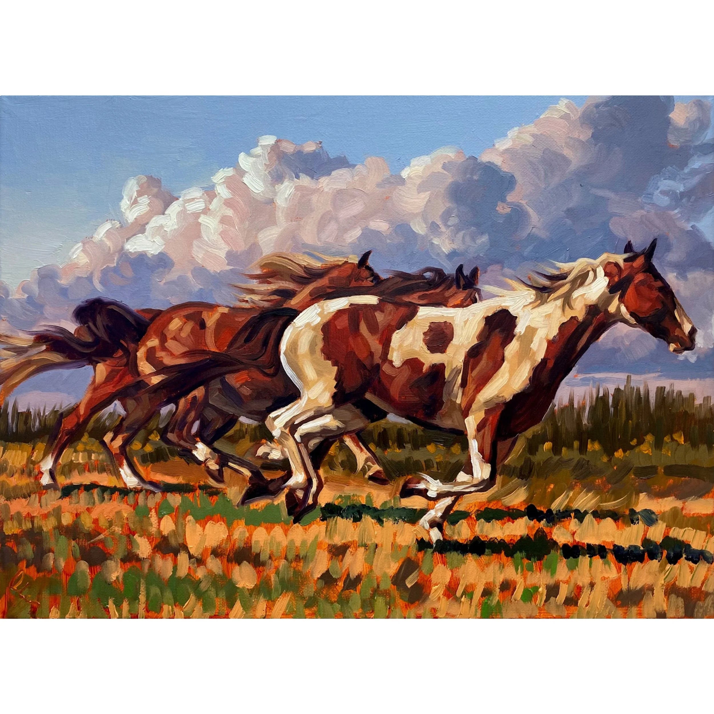 Chasing The Wind