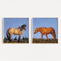 Summer Pastures