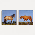 Summer Pastures