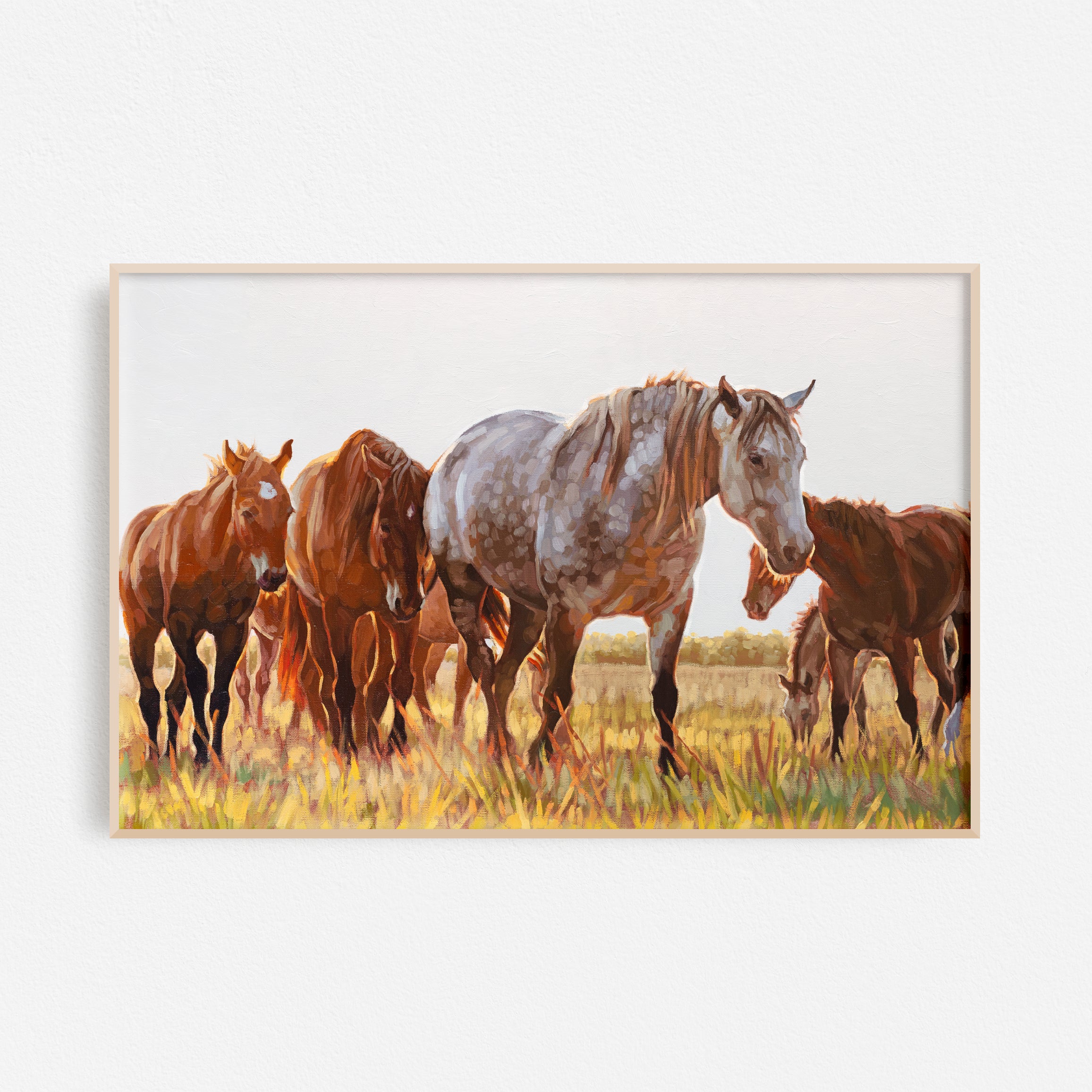 The Broodmares